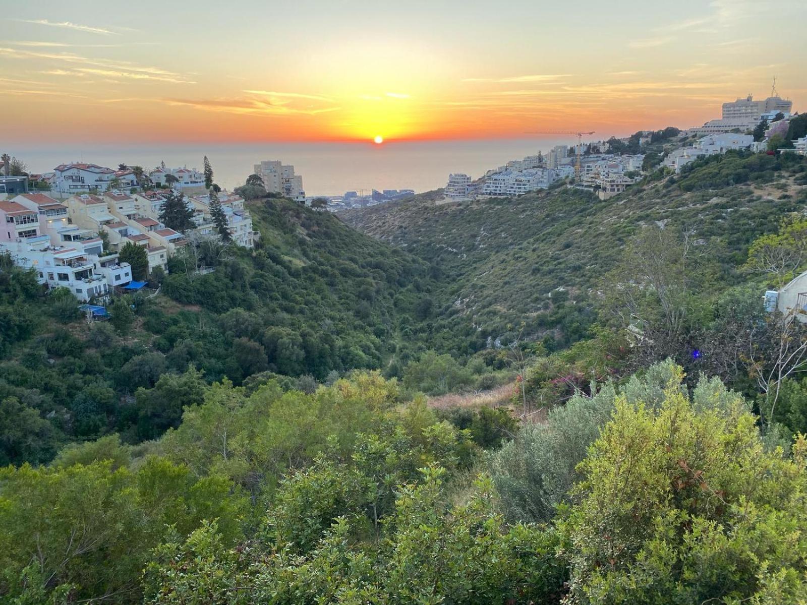 Sea View Carmel Mountain University Haifa Eksteriør bilde